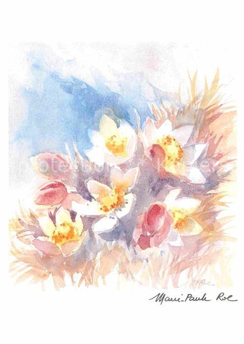Kuenstlerkarte Marie-Paule Roc Aquarelle Blumen