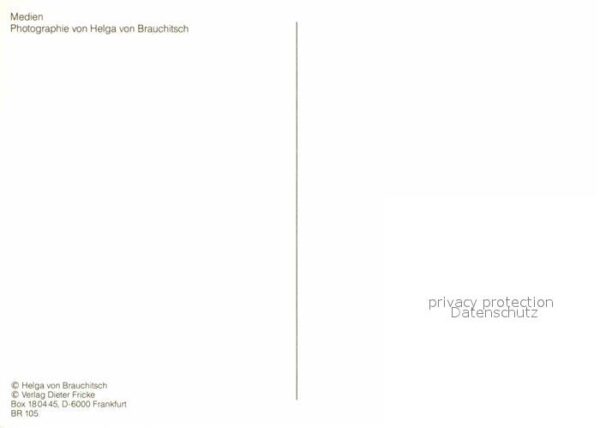 Persoenlichkeiten Charlie Chaplin – Bild 2