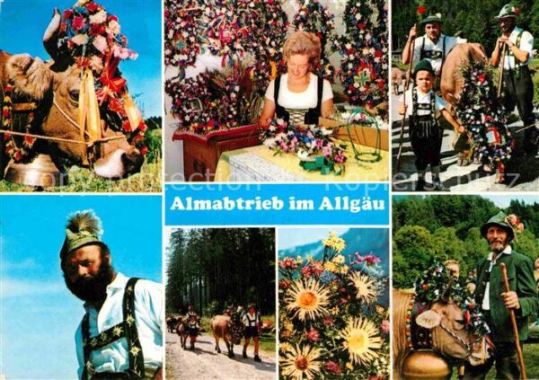 Kuehe Almabtrieb Allgäu