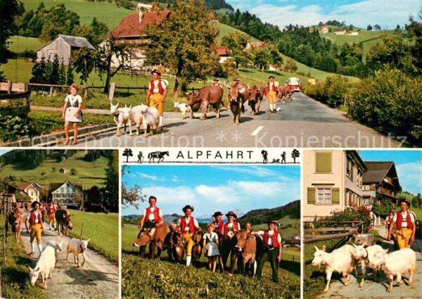 Kuehe Ziegen Alpfahrt