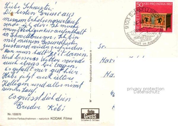 Kuehe Ziegen Alpfahrt – Bild 2
