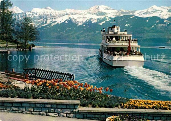 Motorschiffe Thunersee Mönch Jungfrau Schwalmern Lat