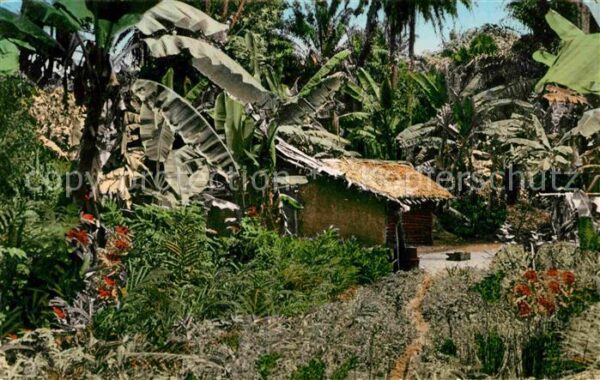 Abidjan Une case de Brousse