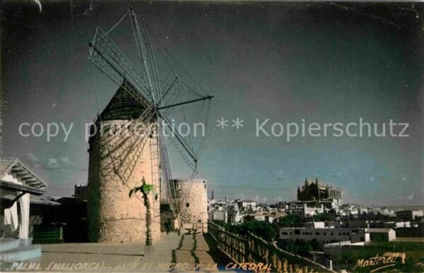Palma de Mallorca Jack el Negro y la Catedral Windmühle K