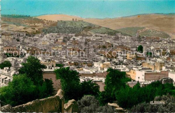 Fes Fez Maroc Vue sur la Medina et les Merenides
