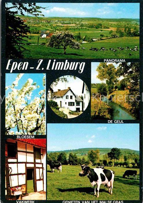Epen Panorama Bloesem De Guel Vakwerk Kühe