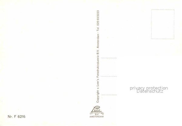 Epen Panorama Bloesem De Guel Vakwerk Kühe – Bild 2