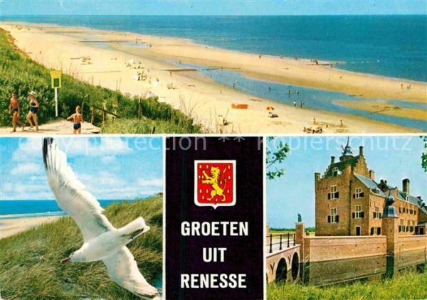 Renesse Strand Möwe Schloss