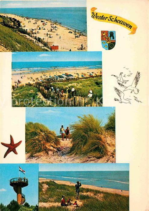 Westerschouwen Strand Dünen Aussichtsturm Seestern Möw