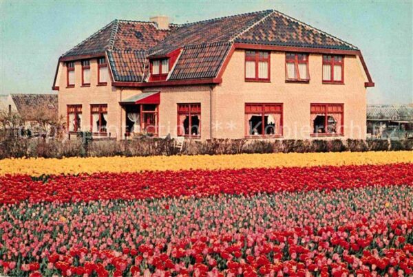 Noordwijk aan Zee  Hotel Pension De Instuif Blumenbeet Tul