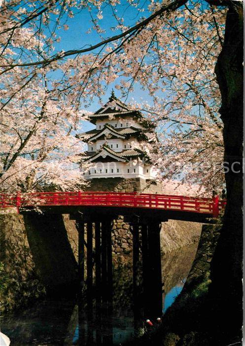 Aomori Hirosaki Castle Schloss Baumblüte