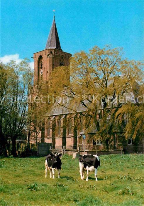 Bunschoten NH Kerk Kirche Kühe