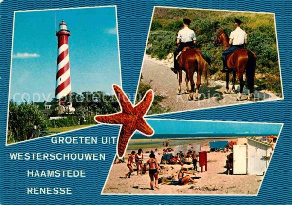 Westerschouwen Leuchtturm Reiten Seestern Strand
