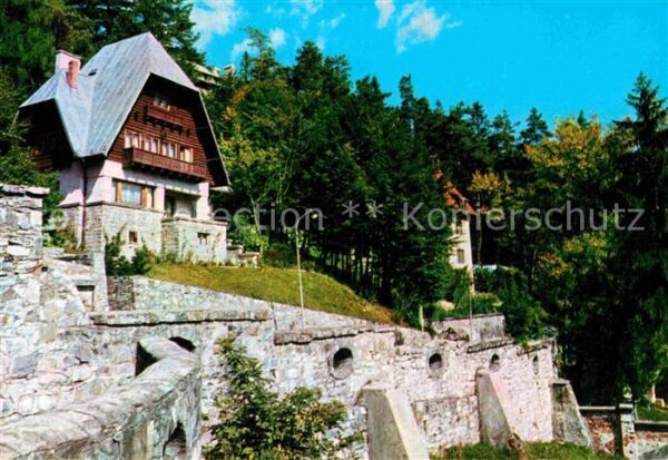 Sinaia Vila Brindusa
