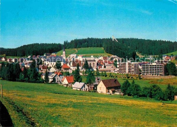 Schoenwald Schwarzwald Panorama