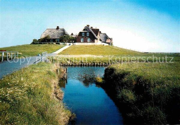 Hallig Hooge Westerwarft
