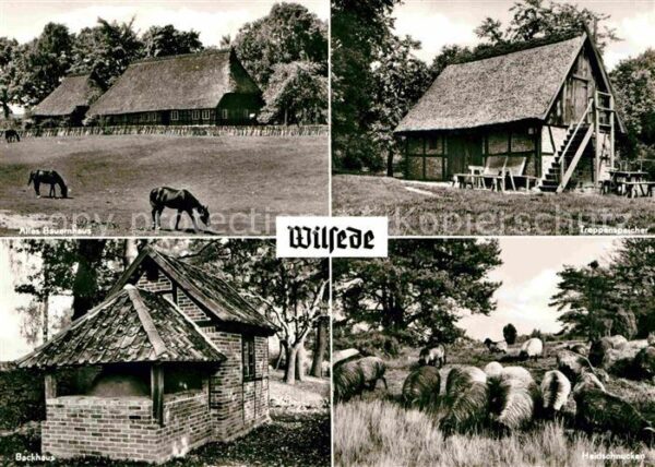 Wilsede Lueneburger Heide Altes Bauernhaus Pferde Treppenspeicher