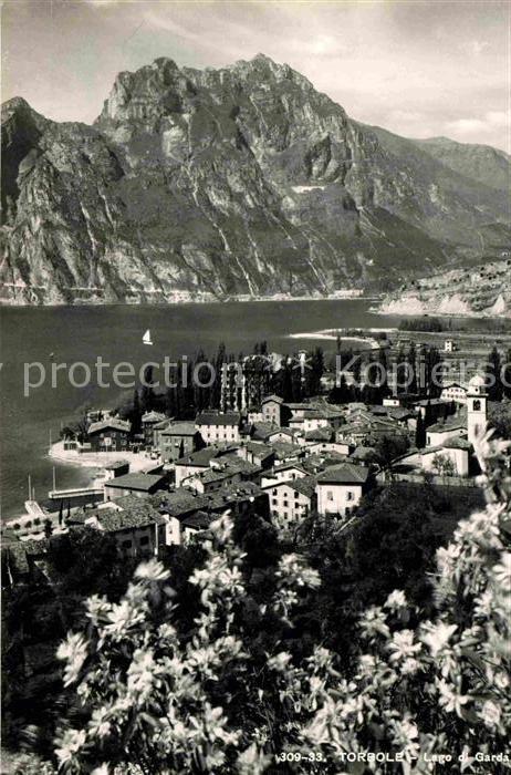 Riva del Garda Panorama Gardasee Alpen