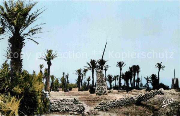 Colomb-Bechar Une oasis