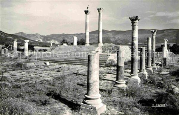 Volubilis Le Capitole