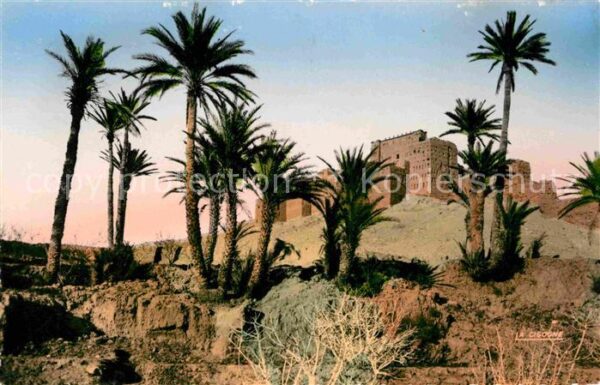 Tifoultout Kasbah Sud Marocain Palmiers