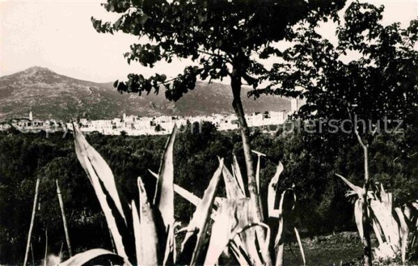 Taza Maroc Vue generale