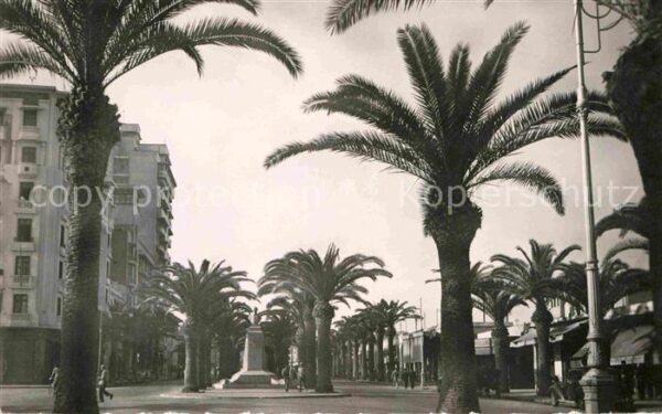 Casablanca Boulevard du 4e Zouaves Palmiers