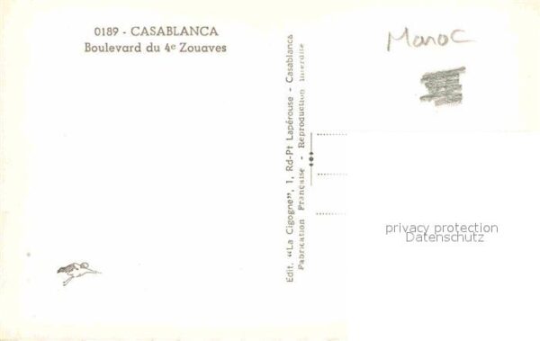 Casablanca Boulevard du 4e Zouaves Palmiers – Bild 2