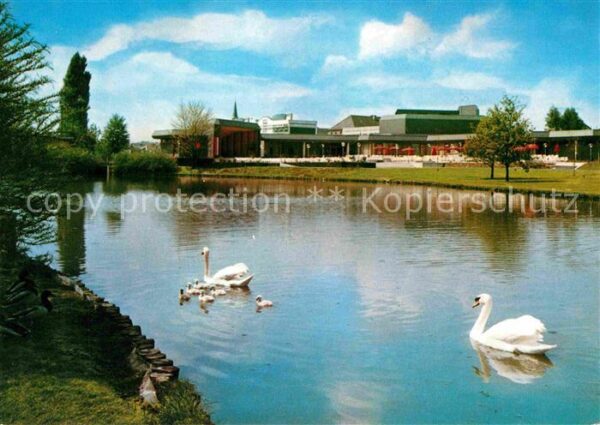 Bad Rappenau Kurparksee mit Kurhaus Schwäne