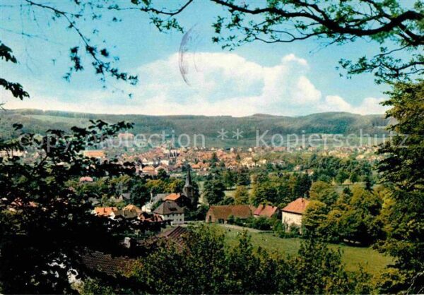 Bad Driburg Panorama
