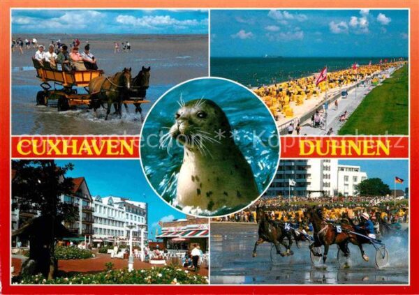 Duhnen Nordsee Wattwagen Strand Pferde Trabrennen Seeh