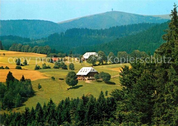 Hinterzarten Höhenluftkurort Wintersportplatz Feldbe
