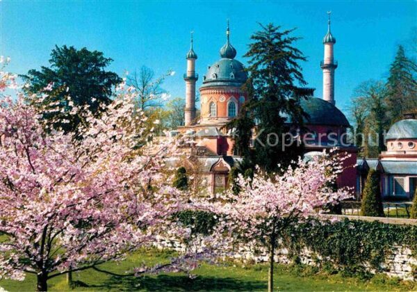 Schwetzingen Schlossgarten Moschee Baumblüte