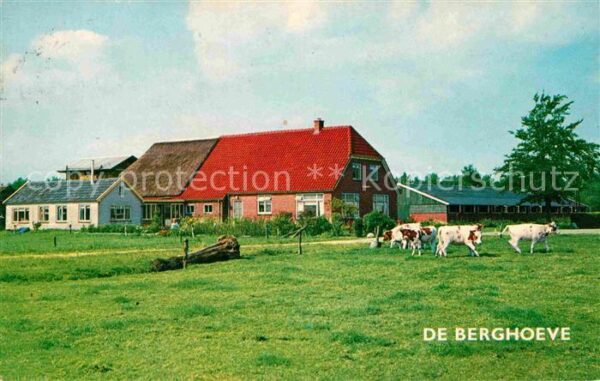 Epe Gelderland Kampeerboerderij De Berghoeve Urlaub au