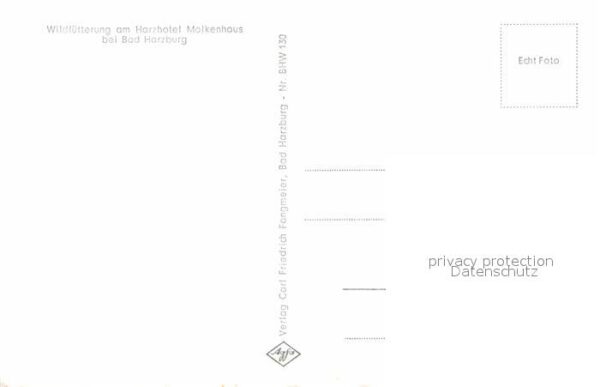 Bad Harzburg Wildfütterung am Harzhotel Molkenhaus R – Bild 2