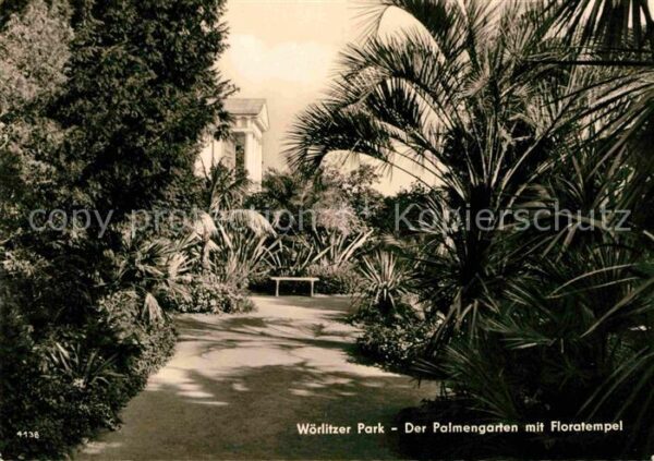 Woerlitz Wörlitzer Park Palmengarten mit Florate
