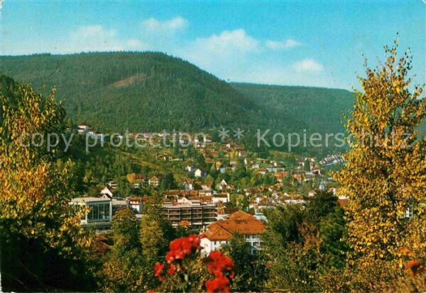 Wildbad Schwarzwald Panorama