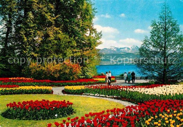 Insel Mainau Park Promenade Alpenblick