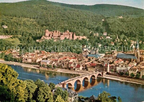 Heidelberg Neckar Panorama Blick vom Philosophenweg Necka