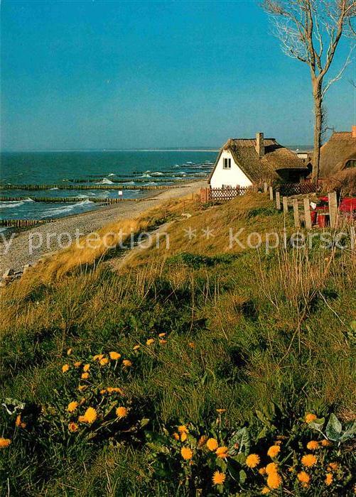 Ahrenshoop Ostseebad Häuser am Strand