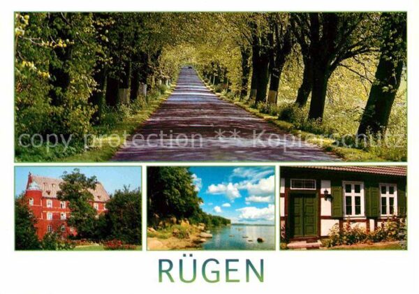 Insel Ruegen Baumallee Küste Strand Schloss