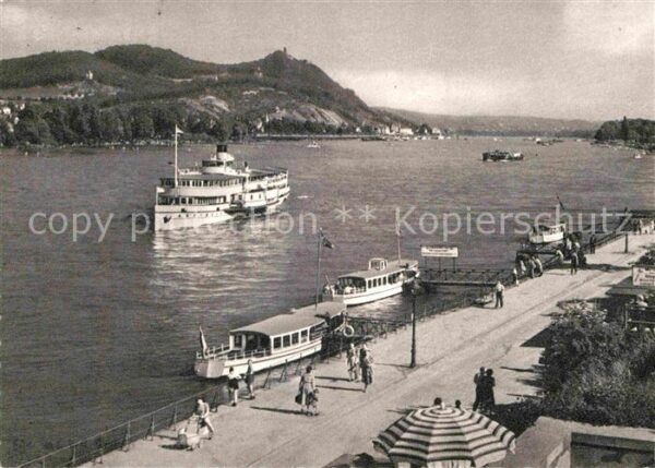 Bad Godesberg Drachenfels Königswinter Rheinpromenade