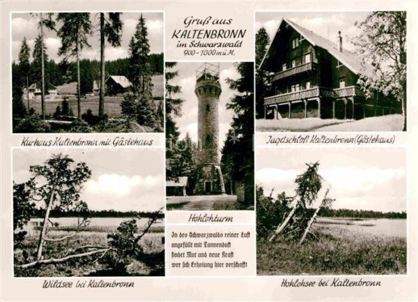 Kaltenbronn Gernsbach Jagdschloss Kurhaus Wildsee Hohlohsee H