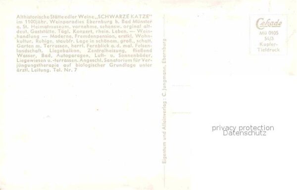 Ebernburg Rittersaal in der Schwarzen Katz – Bild 2