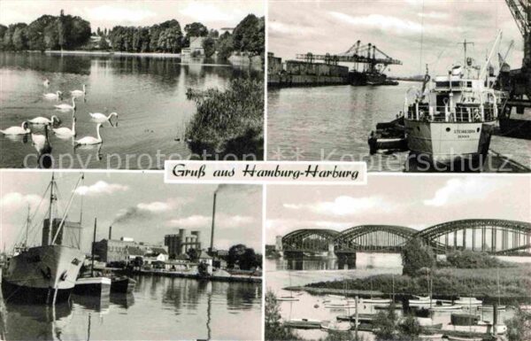 Harburg Hamburg Hafen Schwäne Brücken
