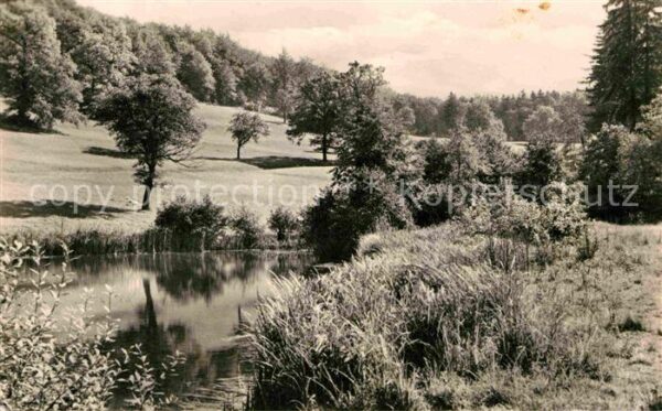 Waltershausen Gotha Kräuterwiese