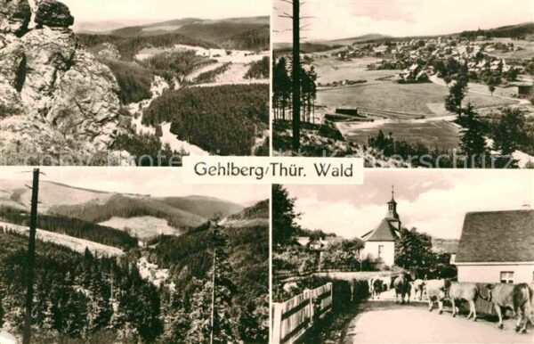 Gehlberg Kühe Kirchpartie Felsen