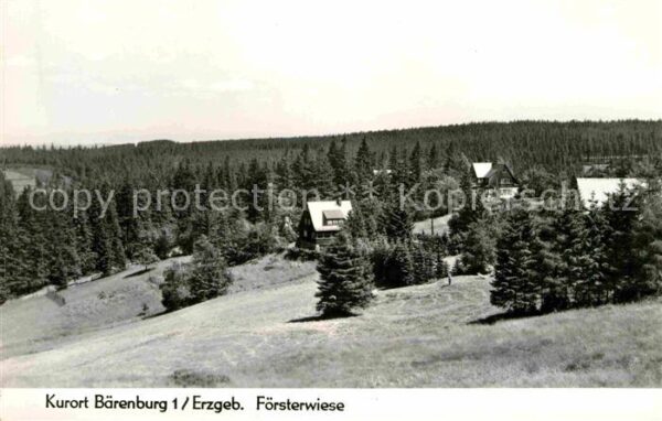 Baerenburg Sachsen Försterwiese
