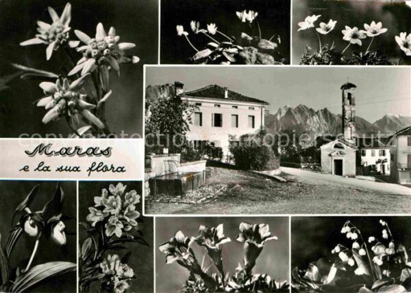 Maras Italien Kirchenpartie e la sua flora