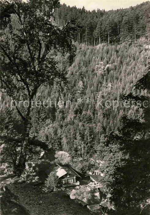 Schwarzatal Blick vom Dürre Schild